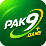 Pak9 Game Logo